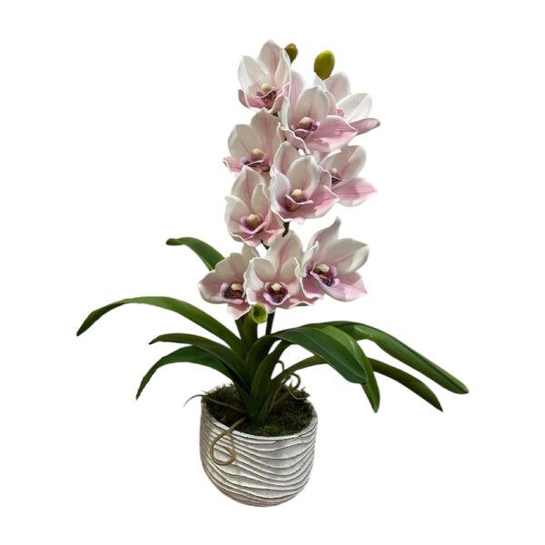 Élethű cymbidium orchidea-rózsaszín