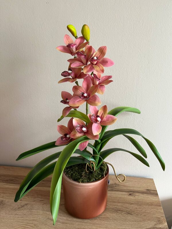 Élethű locsolásmentes cymbidium orchidea -barack,  színátmenetes kerámia kaspóban