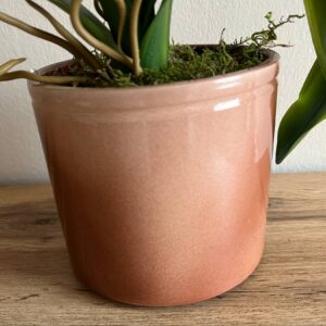 Élethű, locsolásmentes cymbidium orchidea színátmenetes kerámia kaspóban - Image 2