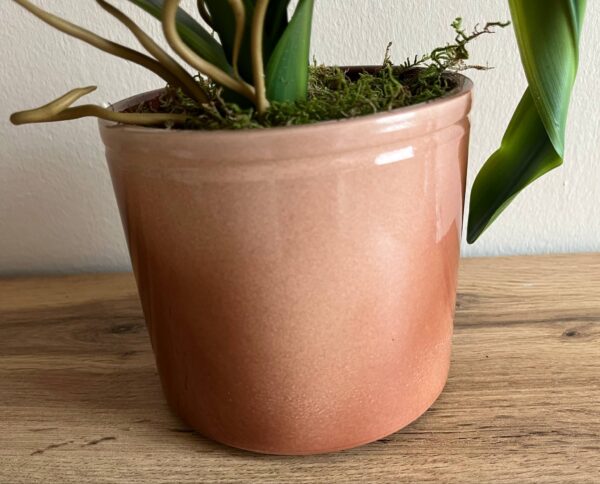 Élethű, locsolásmentes cymbidium orchidea színátmenetes kerámia kaspóban - Image 2