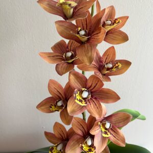 Élethű, locsolásmentes cymbidium orchidea színátmenetes kerámia kaspóban - Image 3