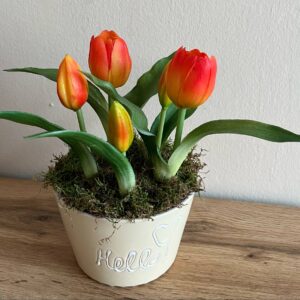 Élethű tulipános dekoráció, Hello feliratos kerámia tálban