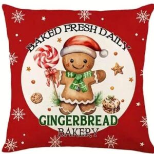 Mézi fiús párnahuzat-piros