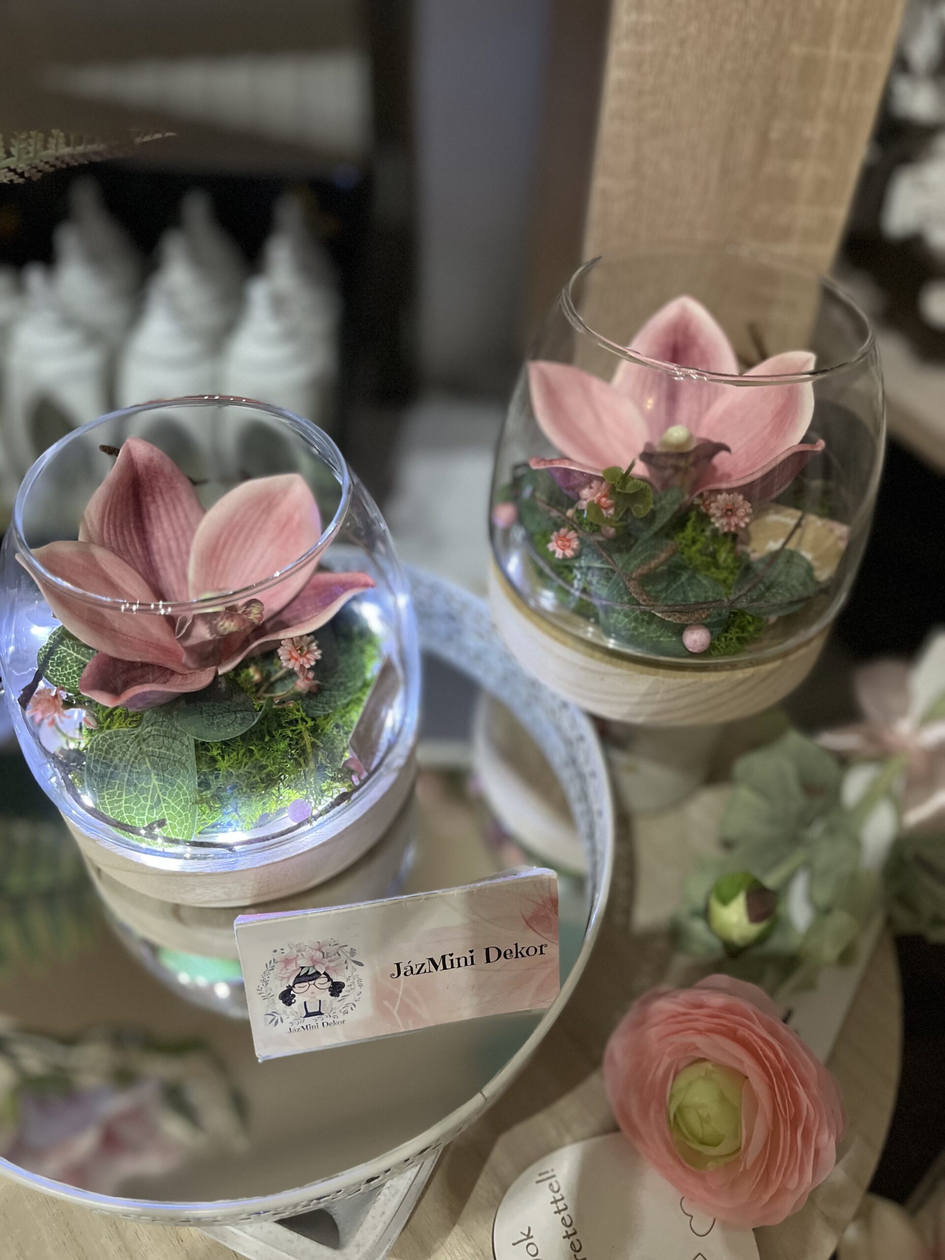 Csónak orchidea üvegkehelyben-leddel