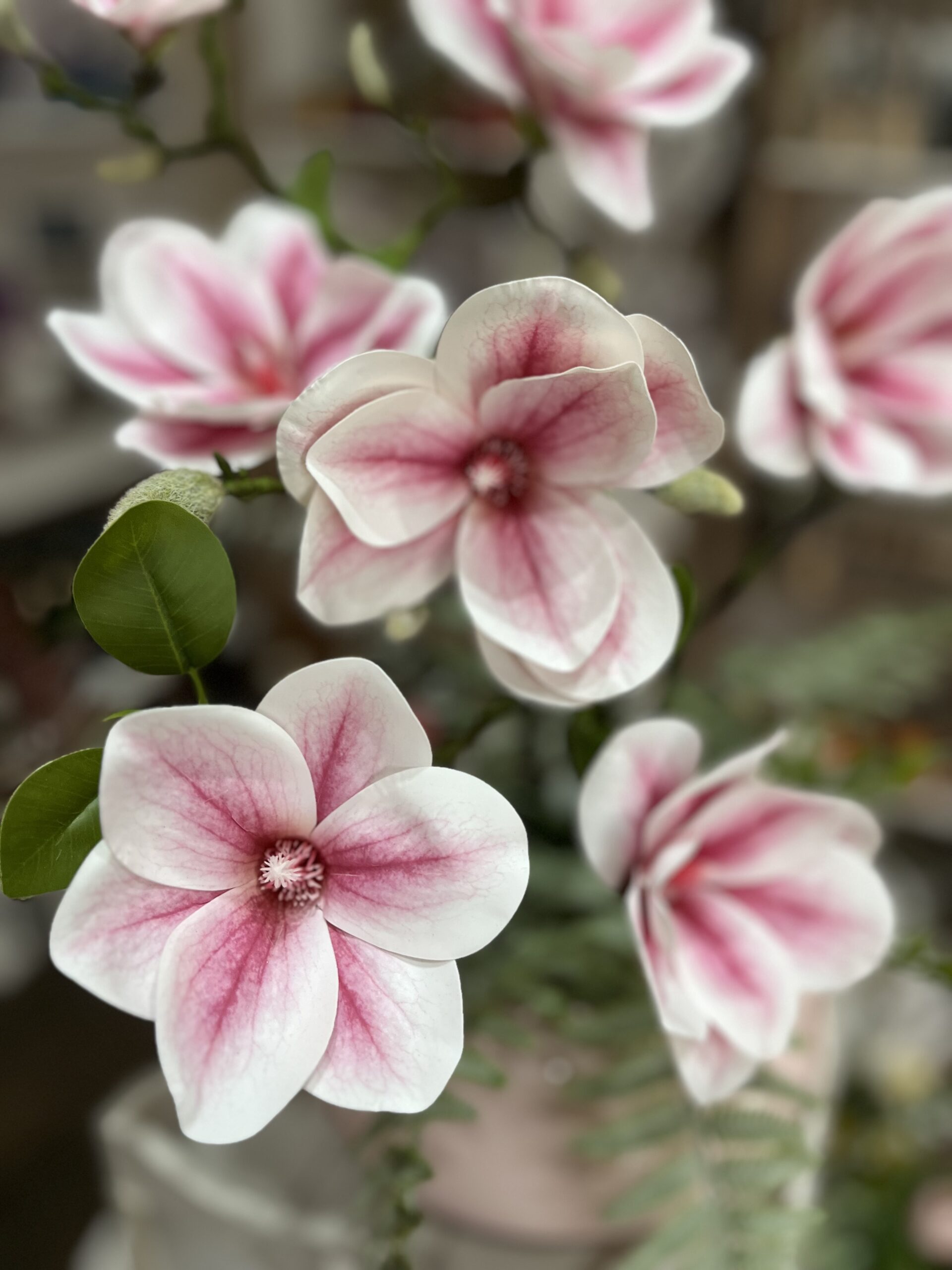 Magnólia-púder kerámia gömbben - Image 3