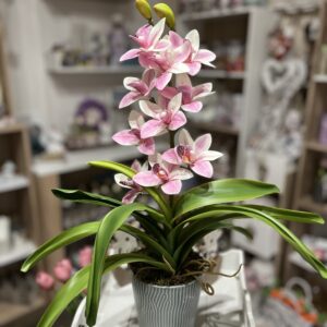 Élethű cymbidium orchidea-rózsaszín