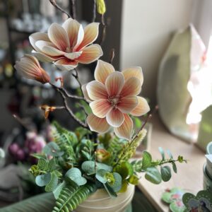 Barack álom magnólia