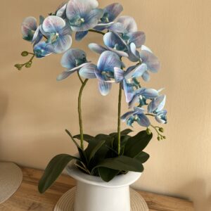 Mesés kékes-lila lepke orchidea kerámia cilinderben