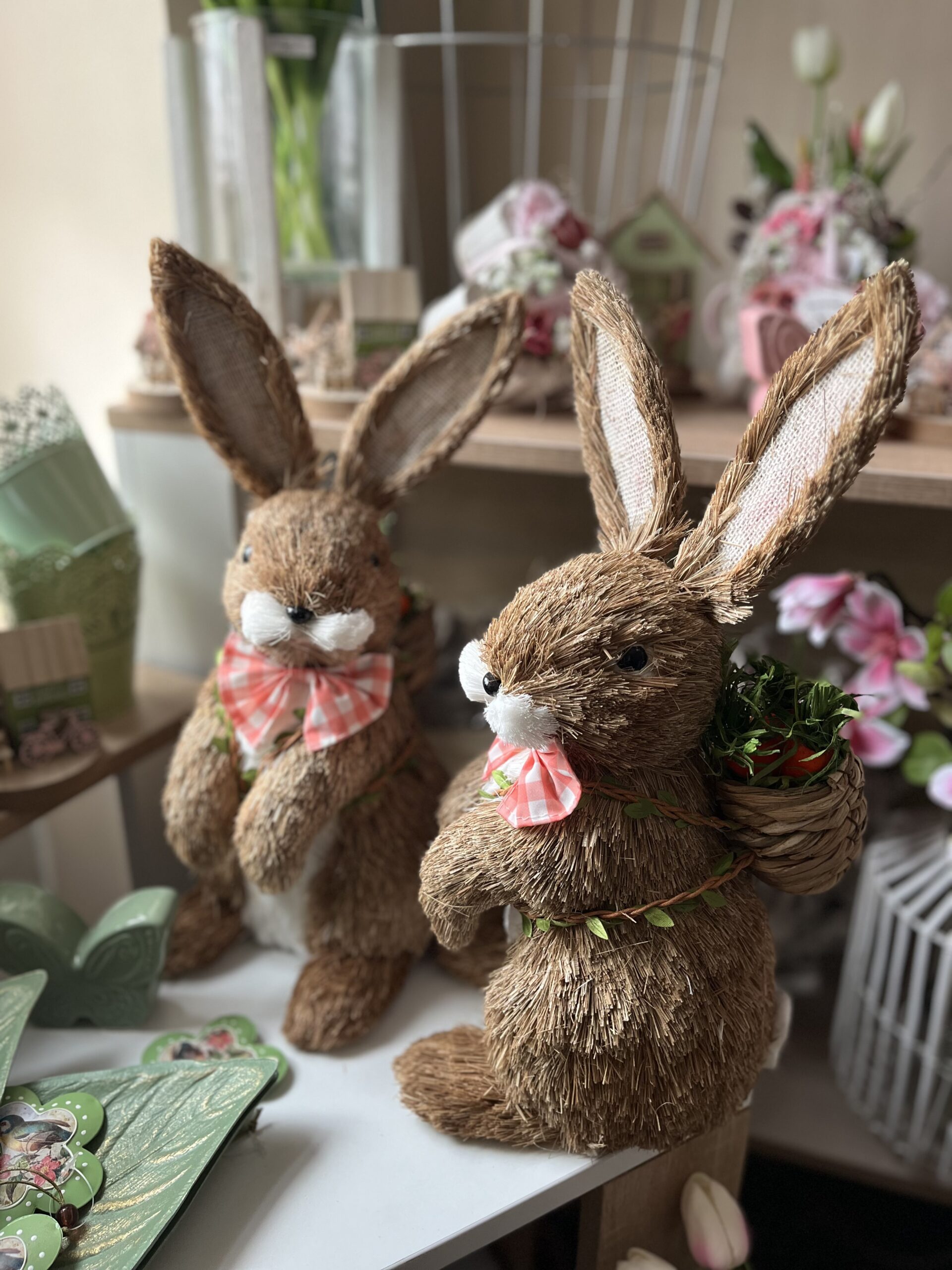 Botond nyuszi - Image 3