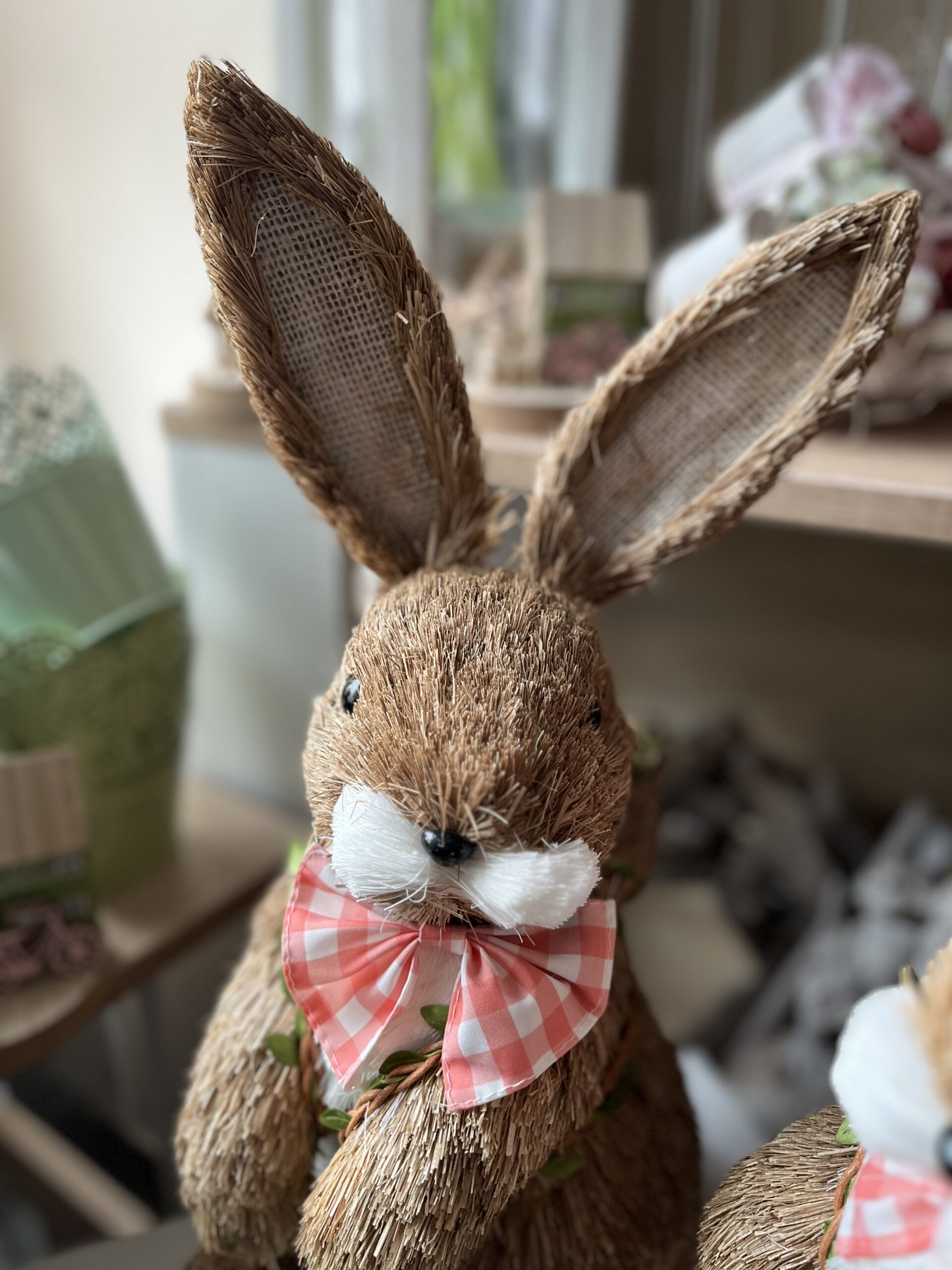 Botond nyuszi - Image 2