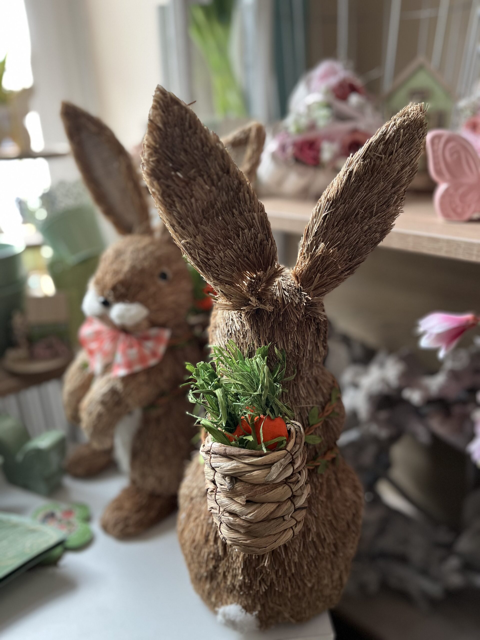 Botond nyuszi - Image 5