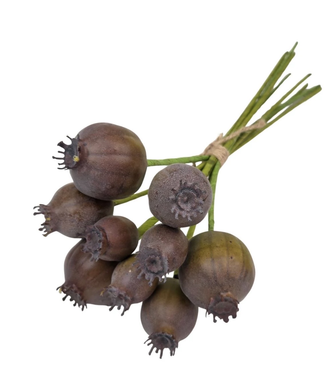 Élethű mákgubó csokor-sárgásbarna - Image 2